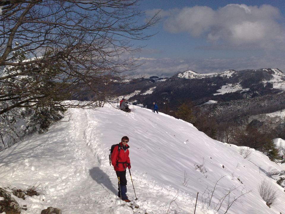 Grmada 21.2.2010 - foto povečava