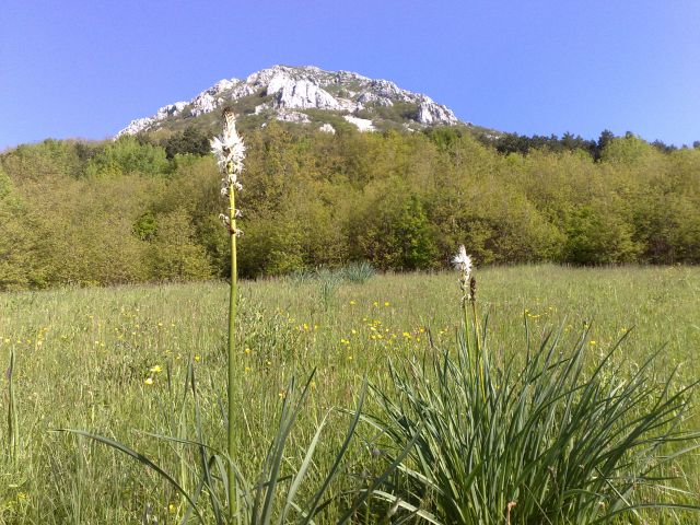 Nanos čez drčo 23.5.2010 - foto