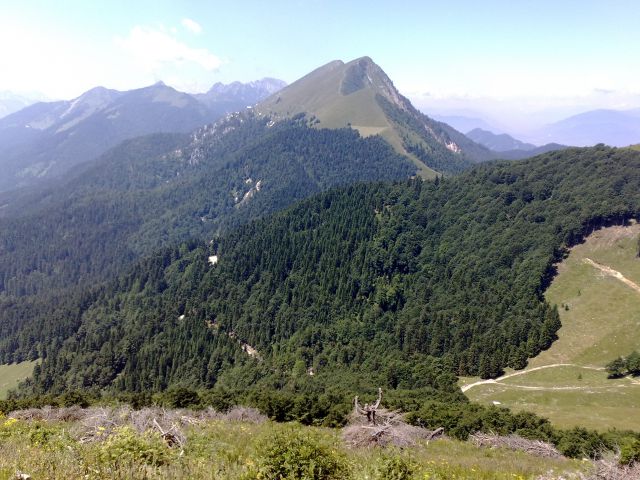 Struška - botanični vrt 10.7.2010 - foto