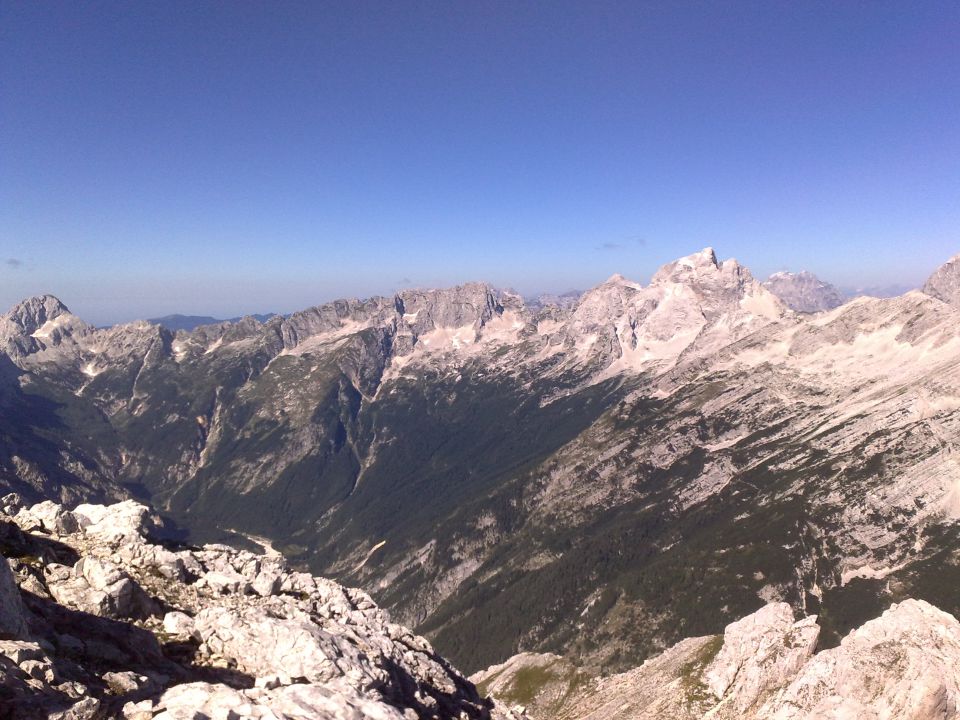 bovški grintavec,  pelci, jalovec