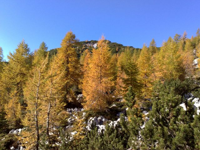 Pokljuka, Brda, Mrežce 10.10.2010 - foto