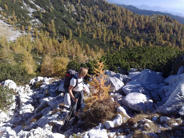 Pokljuka, Brda, Mrežce 10.10.2010 - foto