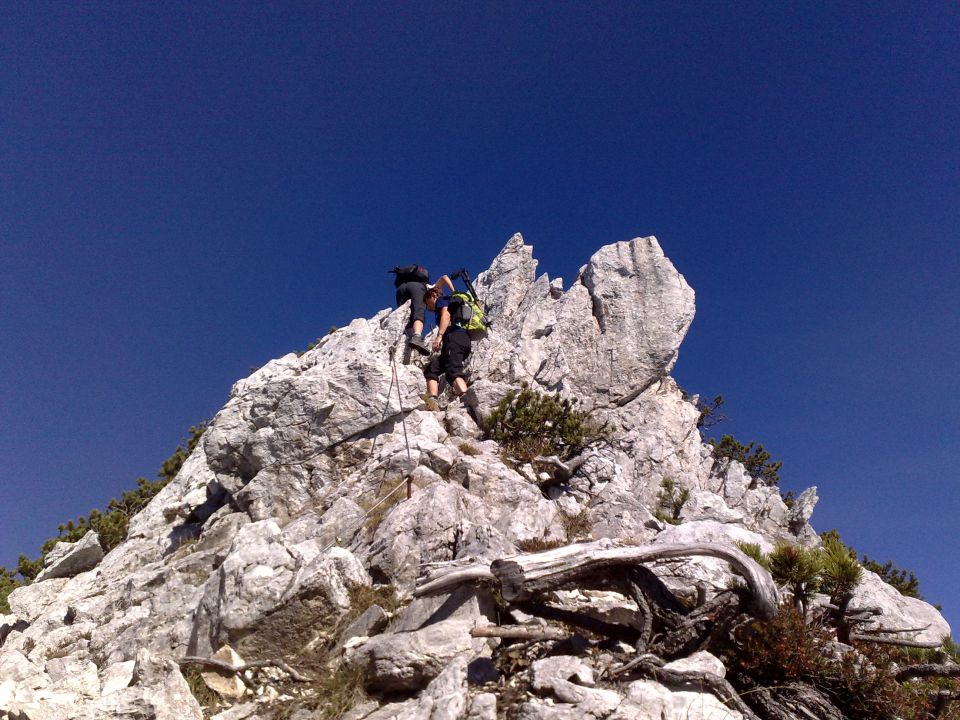 Pokljuka, Brda, Mrežce 10.10.2010 - foto povečava