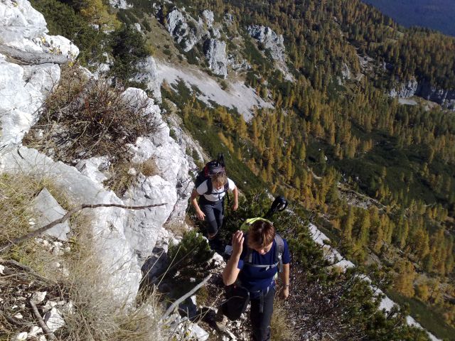 Pokljuka, Brda, Mrežce 10.10.2010 - foto