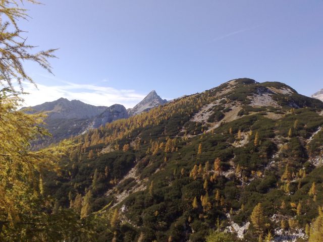 Pokljuka, Brda, Mrežce 10.10.2010 - foto