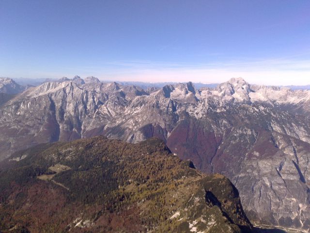 Bavški grintavec, pelci, jalovec