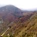 planina osredek, na 1100m