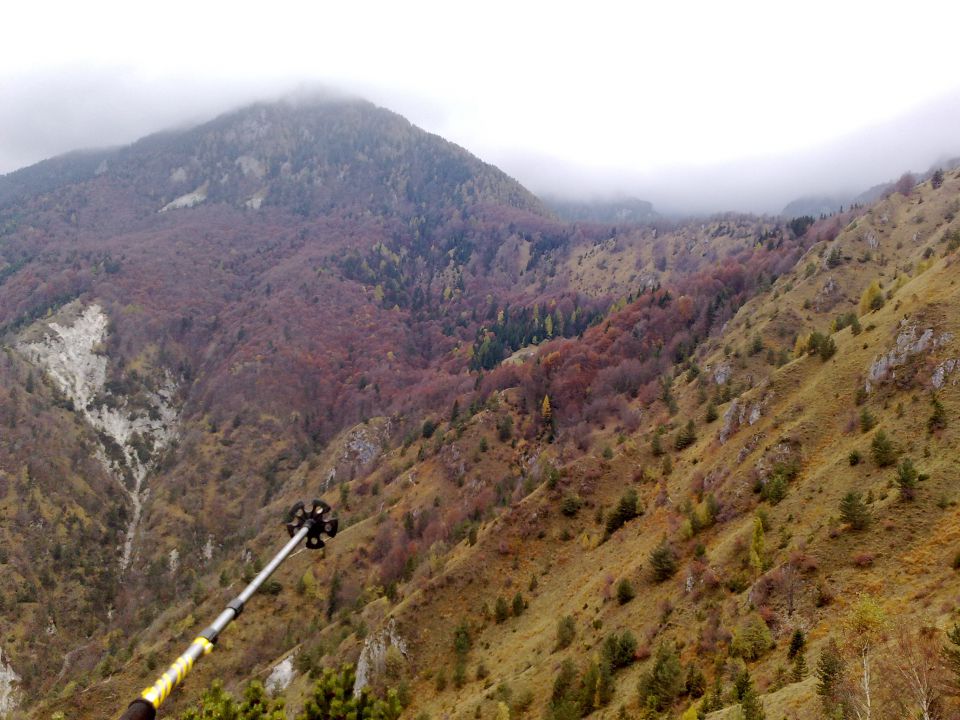 planina osredek, na 1100m