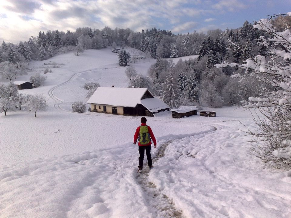 Lubnik iz šk. loke 27.11.2010 - foto povečava