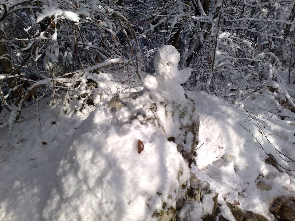 Lubnik iz šk. loke 27.11.2010 - foto povečava