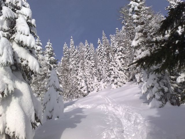 Rudno polje - Plesišče 5.12.2010 - foto