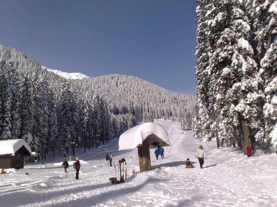 Rudno polje - Plesišče 5.12.2010 - foto povečava