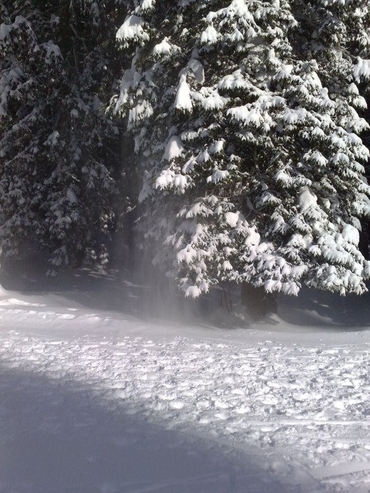 Rudno polje - Plesišče 5.12.2010 - foto povečava