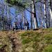 Gontarska planina 906m