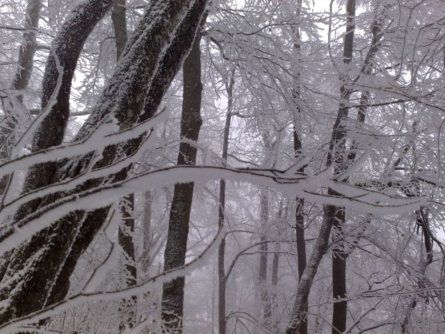 Lubnik iz Breznce po ta strmi  26.12.2010 - foto