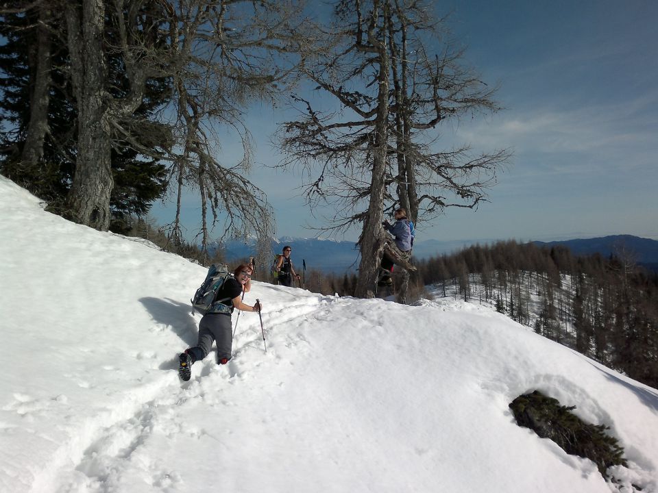 Debela peč, Brda 16.01.2011 - foto povečava