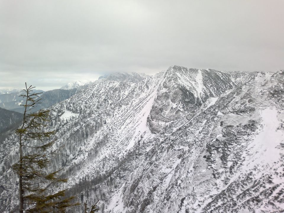 licijanovica in srednji vrh