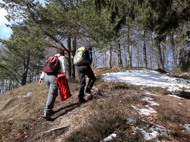 Govejk in Gontarska pl.906m  05.02.2011 - foto