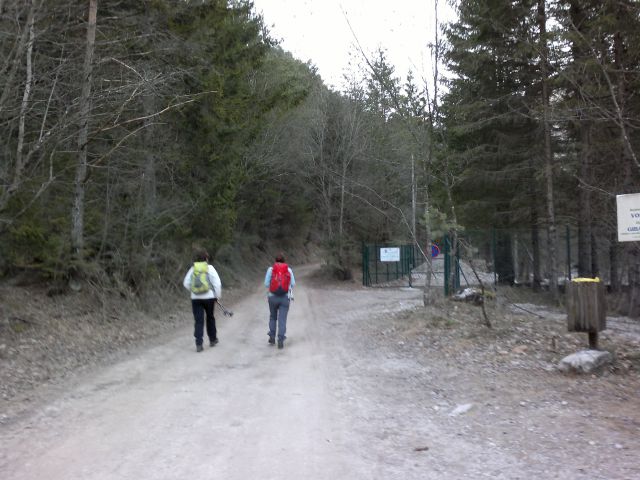 Begunjščica 08.02.2011 - foto