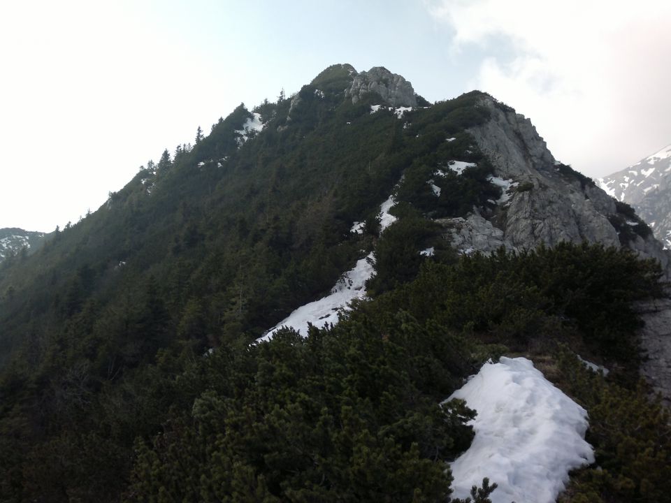 bašeljski vrh