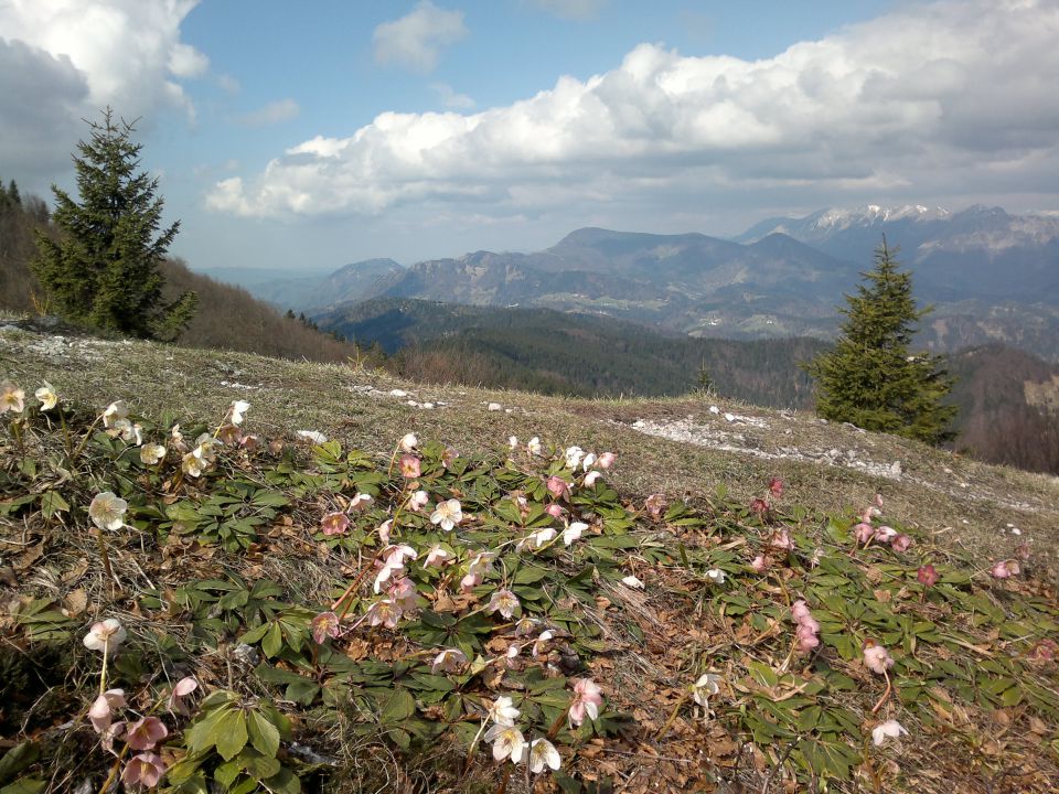 Blegoš 16.04.2011 - foto povečava