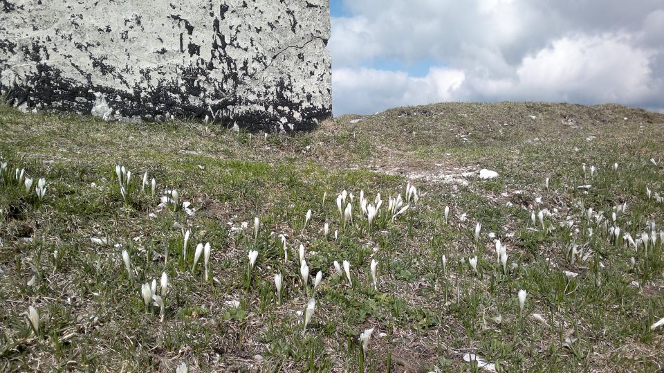 Blegoš 16.04.2011 - foto povečava