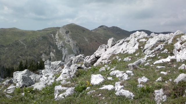 Kosmati in Goli ( vrh ) 14.05.2011 - foto