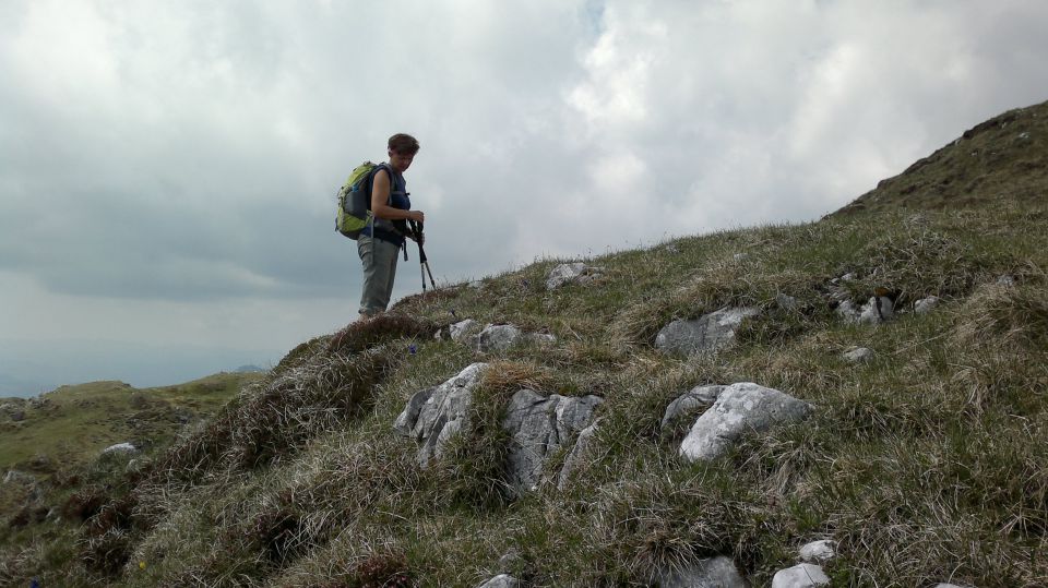 Kosmati in Goli ( vrh ) 14.05.2011 - foto povečava