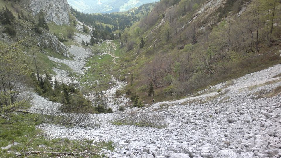 Kosmati in Goli ( vrh ) 14.05.2011 - foto povečava