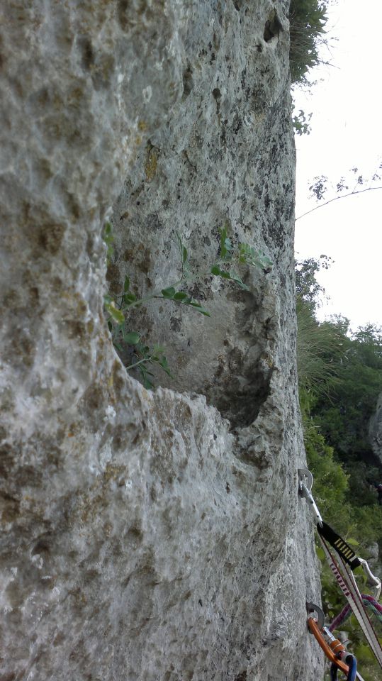 Vipava - Steber  22.05.2011 - foto povečava