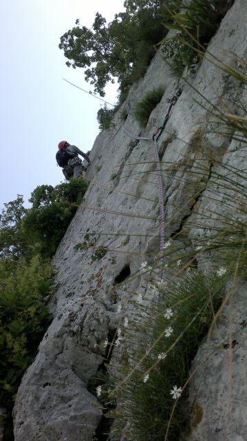 Vipava - Steber  22.05.2011 - foto