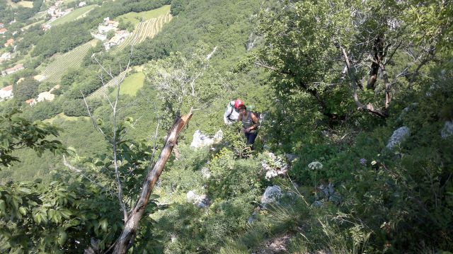 Vipava - Steber  22.05.2011 - foto