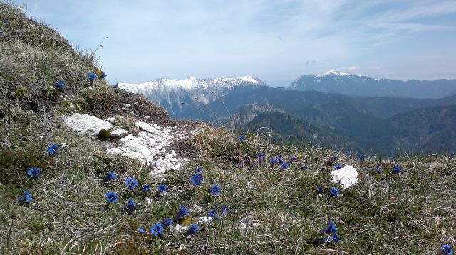 Storžič 29.05.2011 - foto