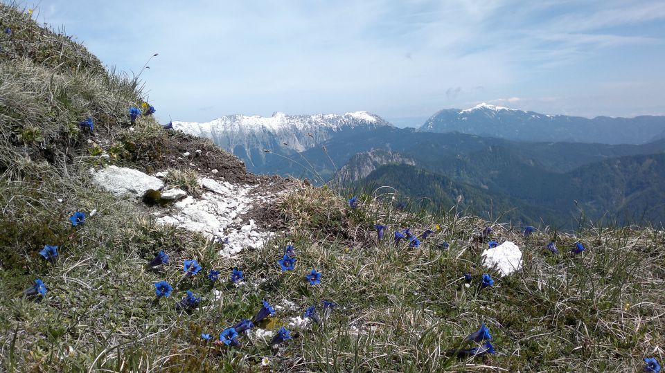 Storžič 29.05.2011 - foto povečava