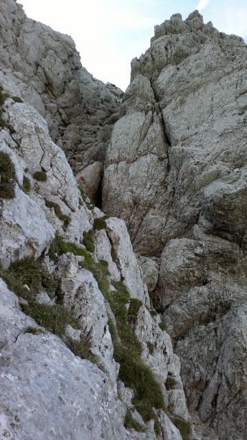 Plemenice, Kugy. p., Tominš. 14.8.2011 - foto