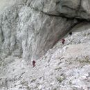 Repov kot, Brana 28.08.2011