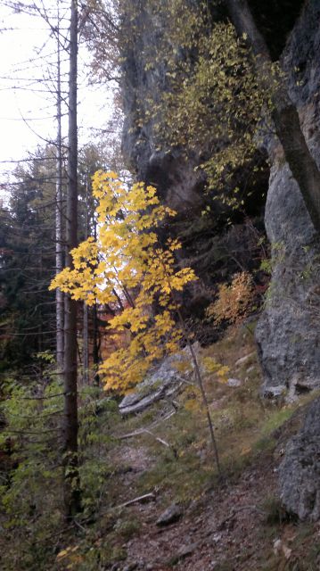 Kamniško sedlo 05.11.2011 - foto