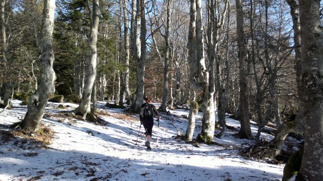 Kriška gora, Vrata 28.12.2011 - foto