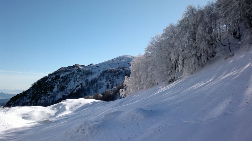 Altemaver 21.01.2012 - foto povečava