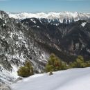 košuta