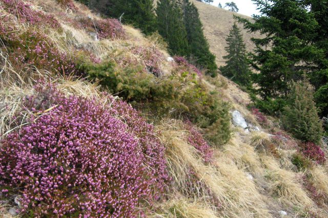 Kriška gora 25.03.2012 - foto