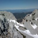zelenjak