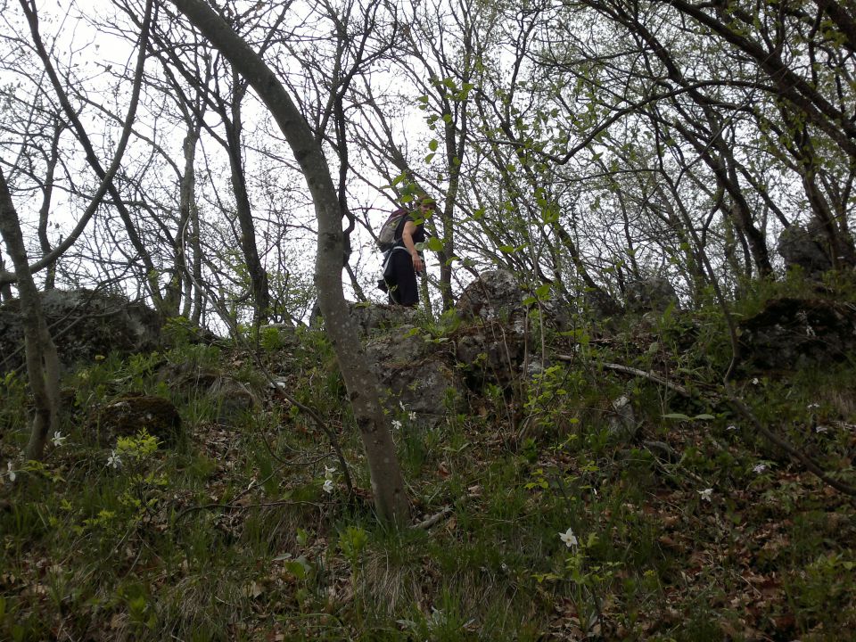 Šmarna gora 18.04.2012 - foto povečava