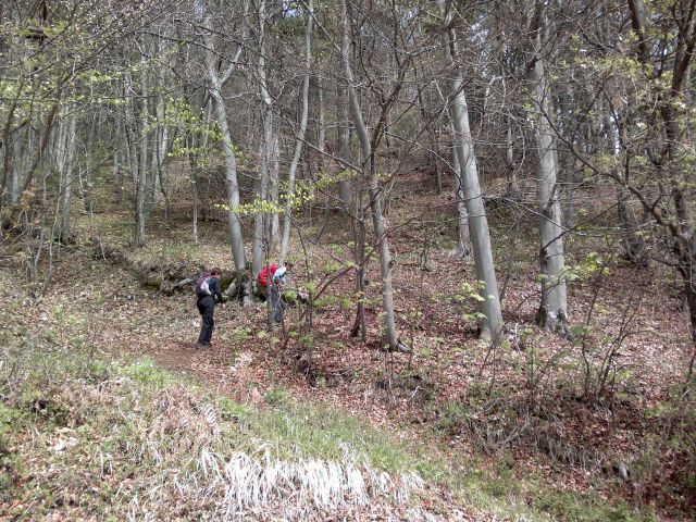 Jošt nad Kranjem 21.04.2012 - foto