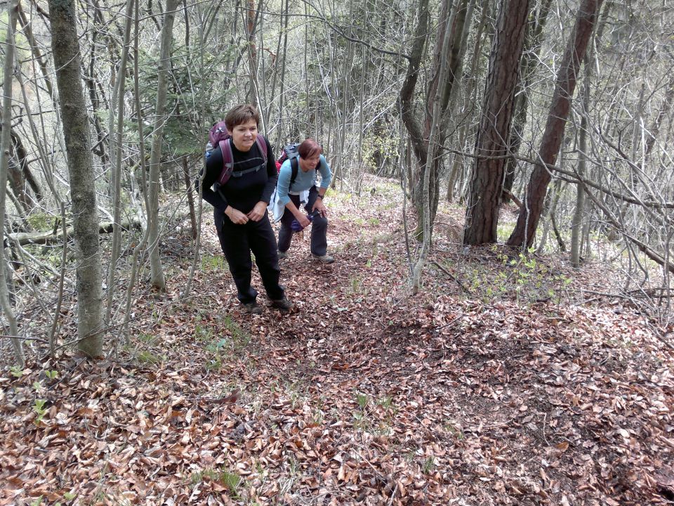 Jošt nad Kranjem 21.04.2012 - foto povečava