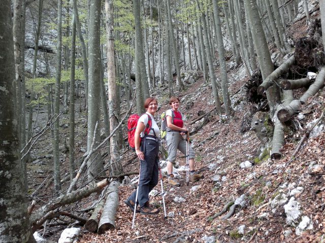 Žagana peč - Čmaževški turn 05.05.2012 - foto