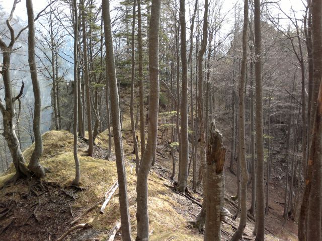 Žagana peč - Čmaževški turn 05.05.2012 - foto