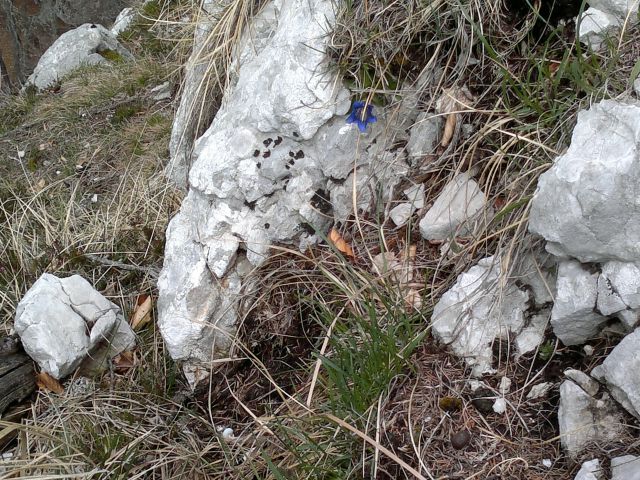 Žagana peč - Čmaževški turn 05.05.2012 - foto