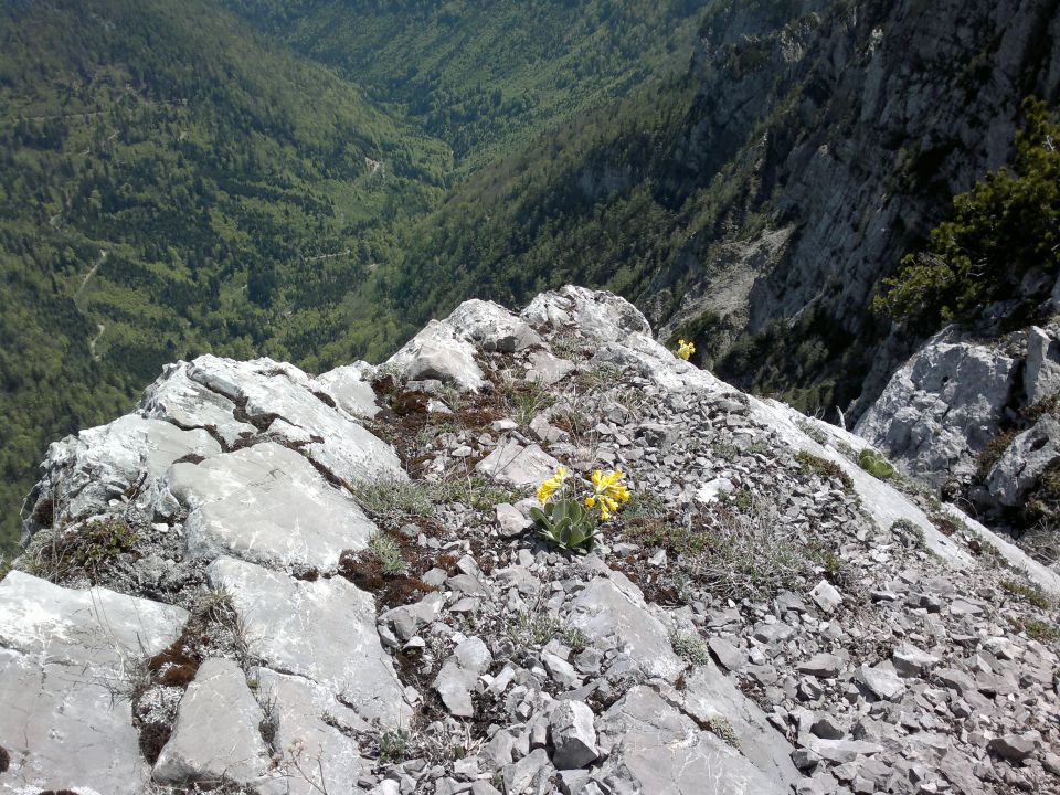 Martinova stena, Konj 11.05.2012 - foto povečava