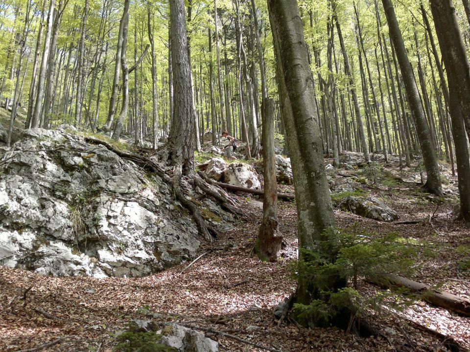 Martinova stena, Konj 11.05.2012 - foto povečava